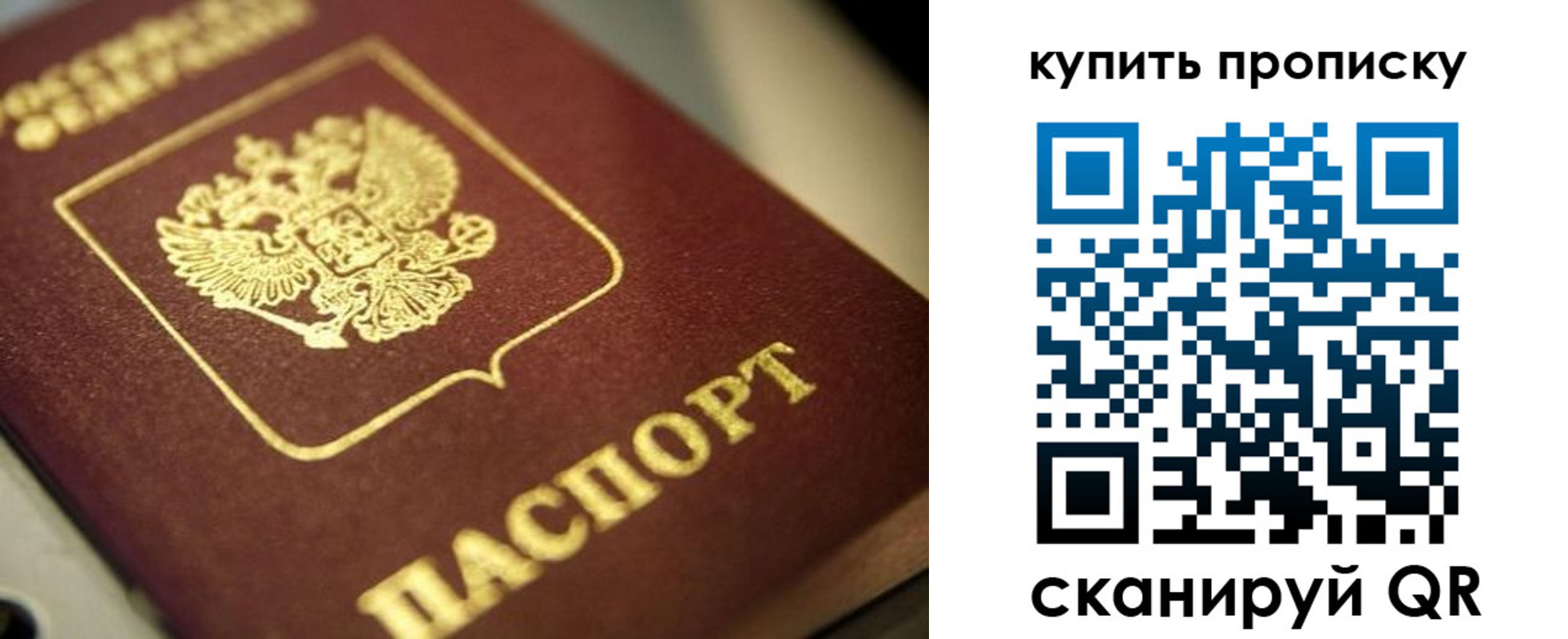 прописка поиск в Полярном